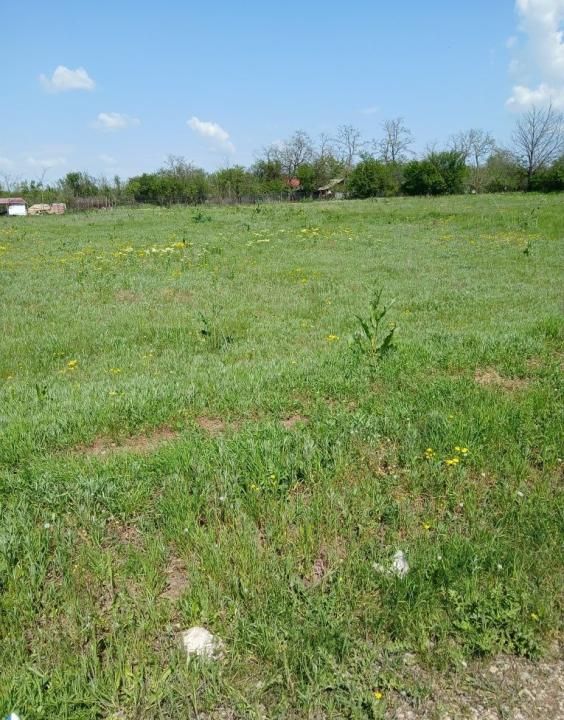 Vanzare teren intravilan 1100 mp, Corbeni, jud. Arges – fotografia 5 din 6