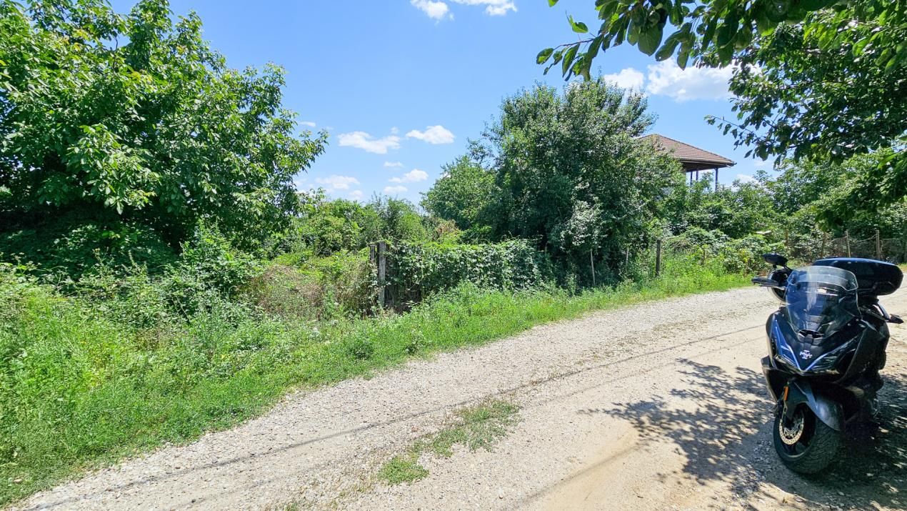 Curte 3200 mp Bolintin Vale, intravilan, intre case – fotografia 12 din 27