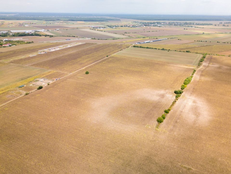 DASCALU – TEREN INTRAVILAN 11300 MP, INVESTITIE! – fotografia 8 din 18