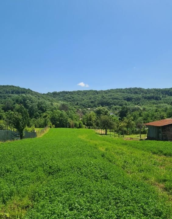 Oportunitate Unică în Călinești, Argeș – Teren Intravilan de Vânzare! – fotografia 3 din 3
