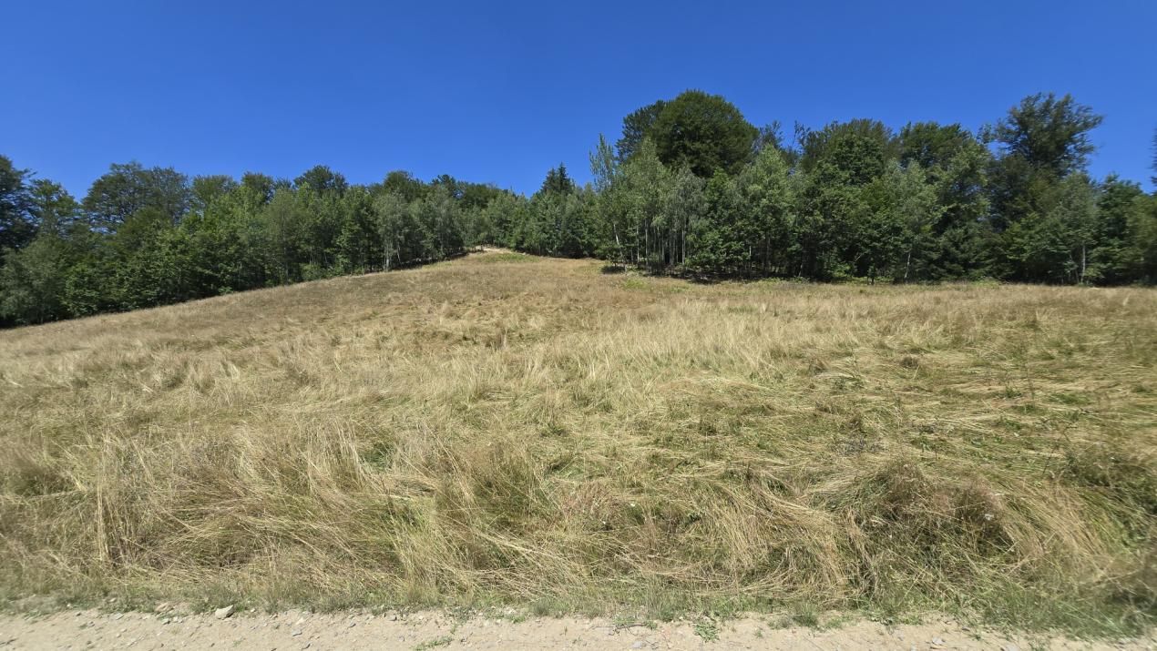 De vânzare teren de 36.200 mp teren în Poiana Mărului – fotografia 3 din 9