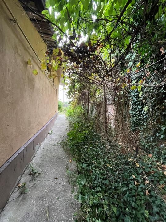 Casa pe parter 3 camere ingrijita curte si gradina Gaesti Nord – fotografia 4 din 35
