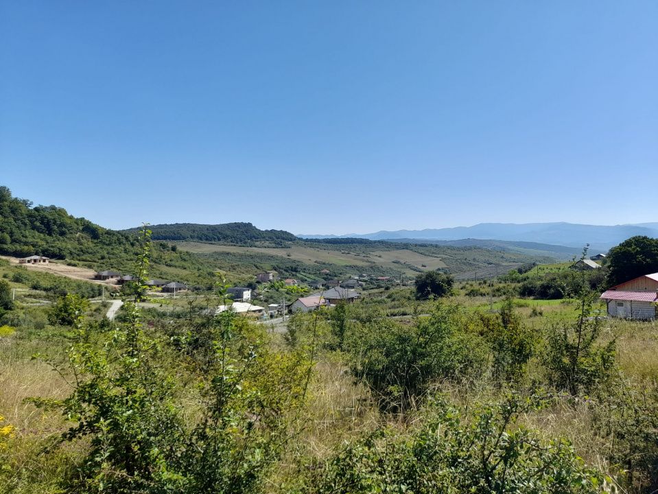 TEREN 990MP,VALEA JELNII – fotografia 1 din 3