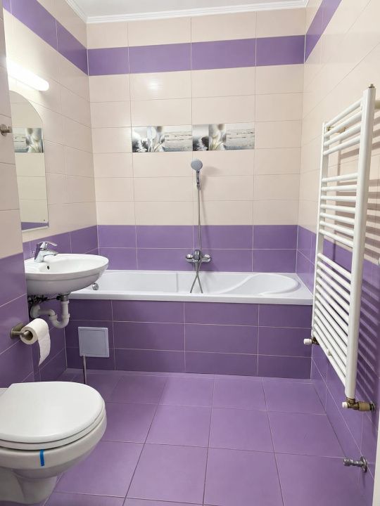 Apartament cu 1 cameră, renovat integral, mobilat modern, zona Mihai Viteazu, Si – fotografia 4 din 6