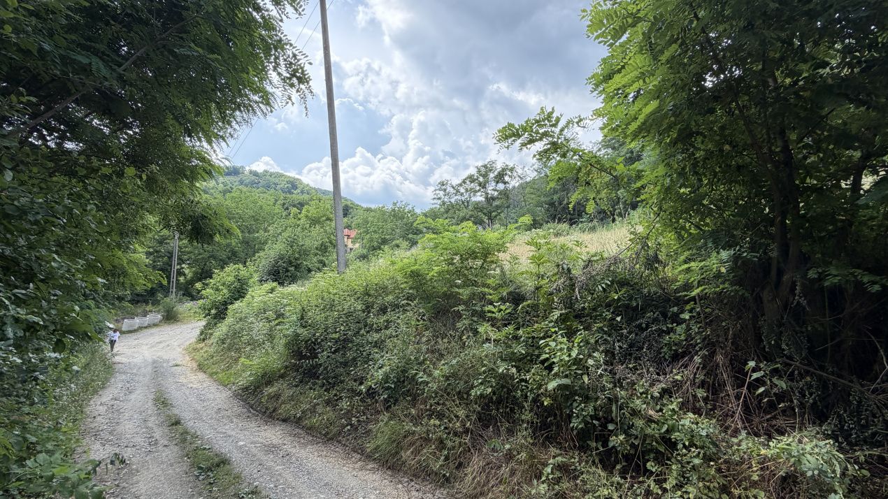 TEREN Intravilan 1257 mp Liziera Pădurii Meteș Platou Cabană la 15 km Alba Iulia – fotografia 3 din 11