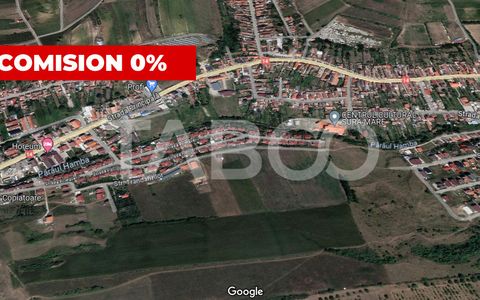 Oportunitate investitie teren 10000 mp Sura Mare