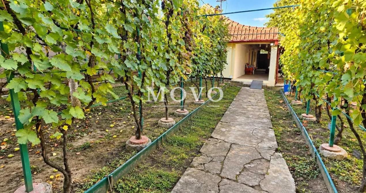 Casa individuala 3 camere | 430mp Teren | Zona Plopi – fotografia 5 din 8