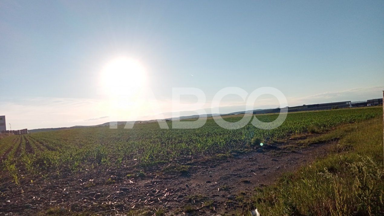 Teren intravilan 2 ha deschidere drum zona Industriala Vest Sibiu – fotografia 7 din 7