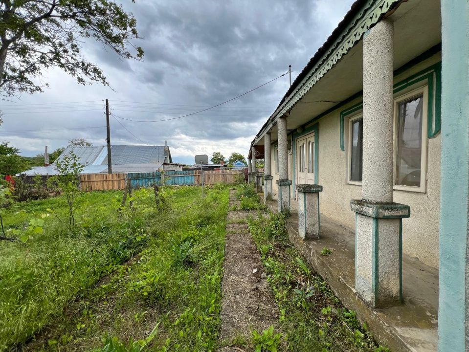 Casă + teren 4430 mp, vie și pomi fructiferi, 22 km de Tecuci – fotografia 7 din 36