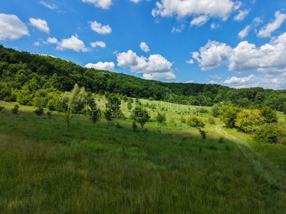 Teren Pasune + Arabil - Valea Mare Podgoria Arges – fotografia 14 din 29