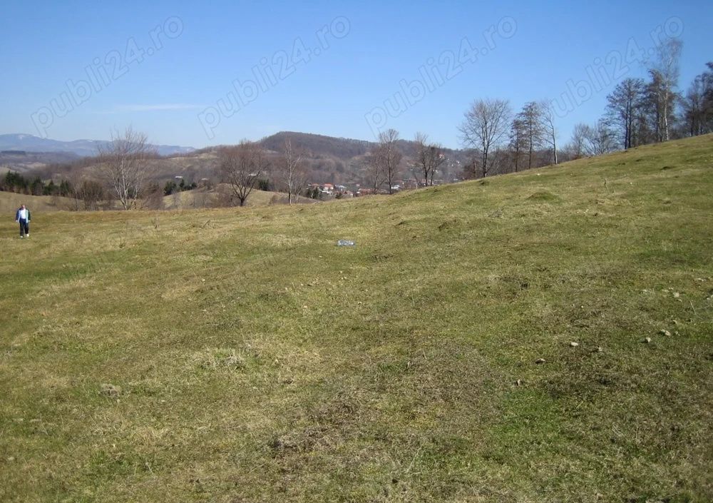 Vand Teren in Curtea de Arges suprafata 5000mp – fotografia 3 din 4