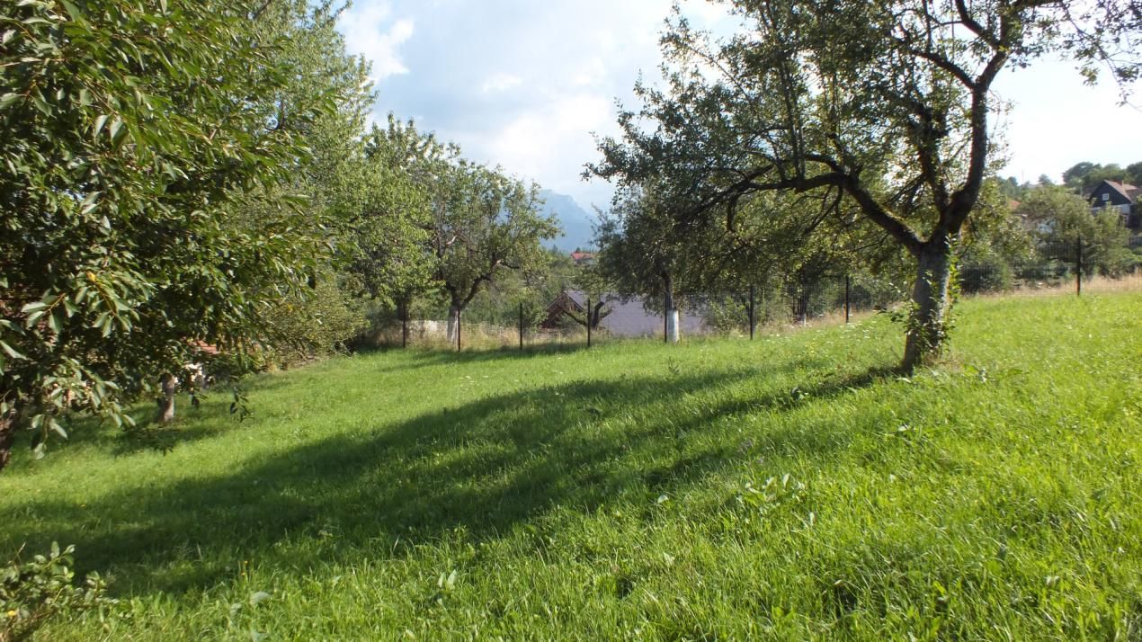 Teren Bran Sohodol , o zona de vis, o priveliste unica spre Bucegi! – fotografia 7 din 17