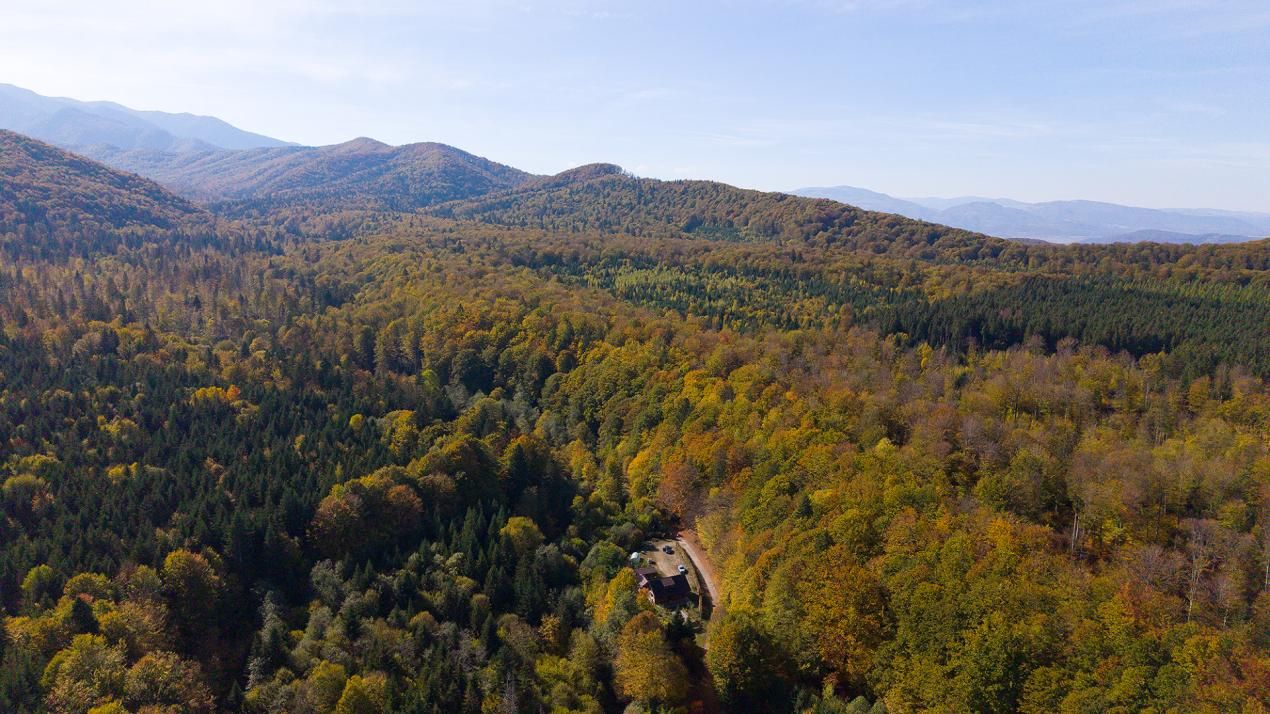 Teren 2.000 mp în Valea Avrigului Pădure, apă curgătoare și liniște – fotografia 10 din 10