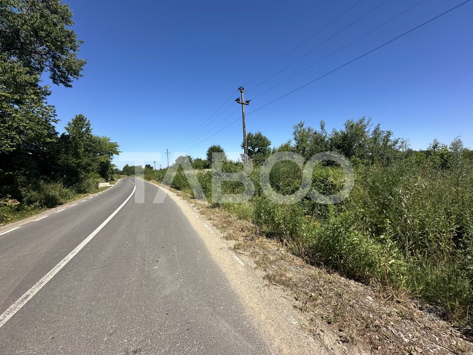Comision 0% Teren intravilan cu utilitati 2200 mp pe Valea Sebesului – fotografia 4 din 4