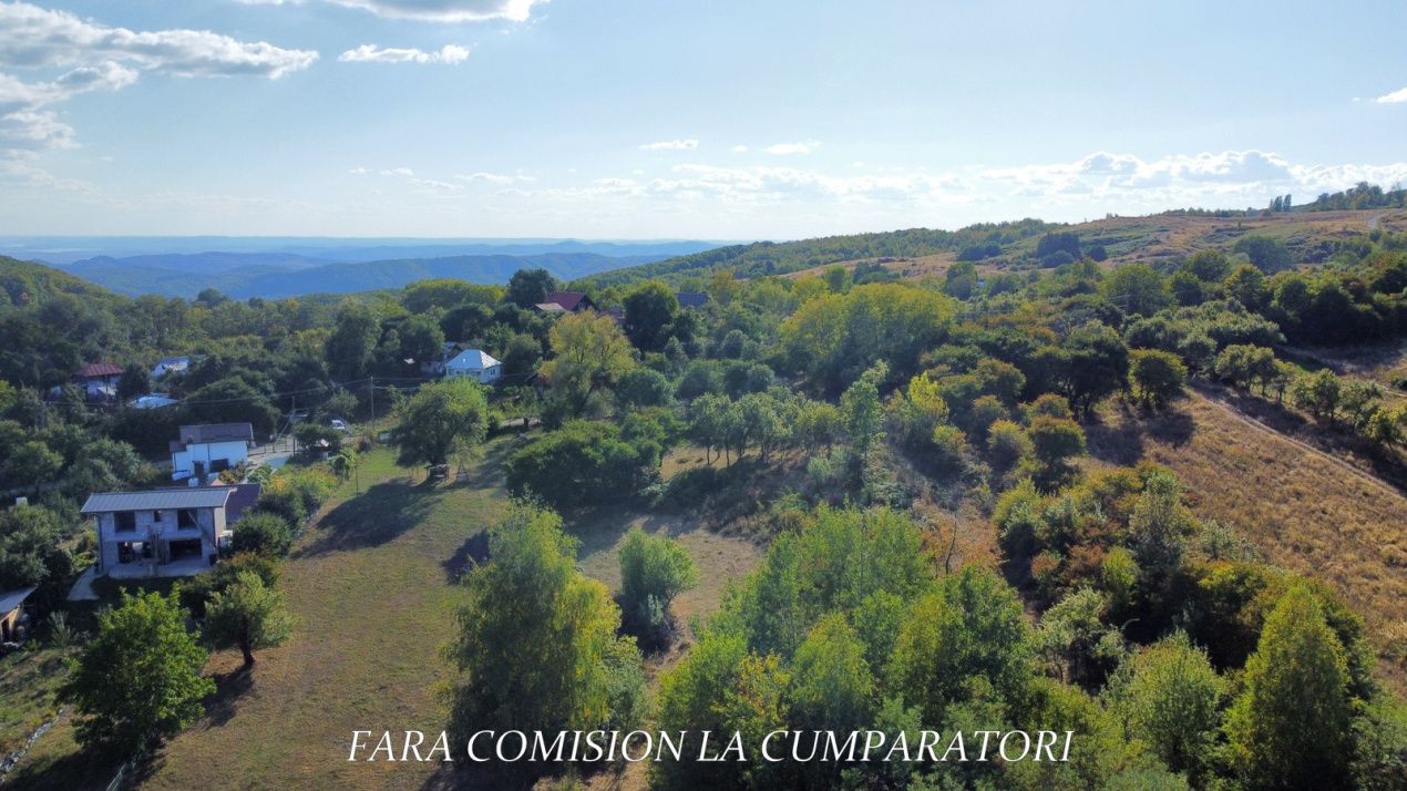 TEREN 5274 MP, CADRU NATURAL MINUNAT – fotografia 13 din 17