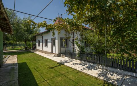 RACARI - DAMBOVITA - SAT BALANESTI, CASA PE PARTER 85 MP, LOT 2200 MP!