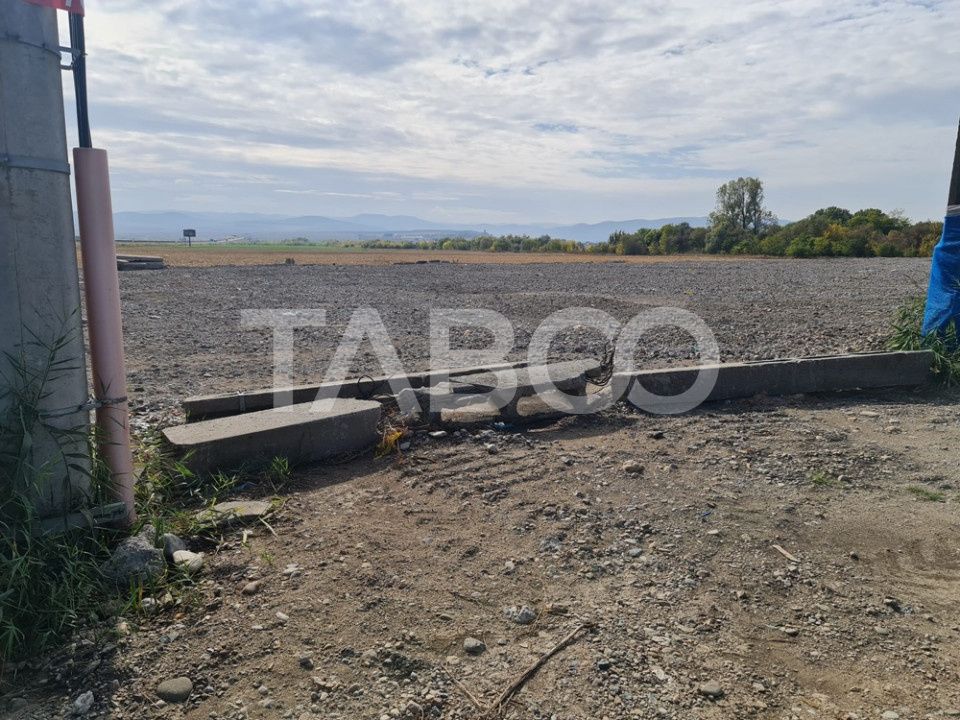 Teren de vanzare in Sebes pe strada Calarasi – fotografia 4 din 5