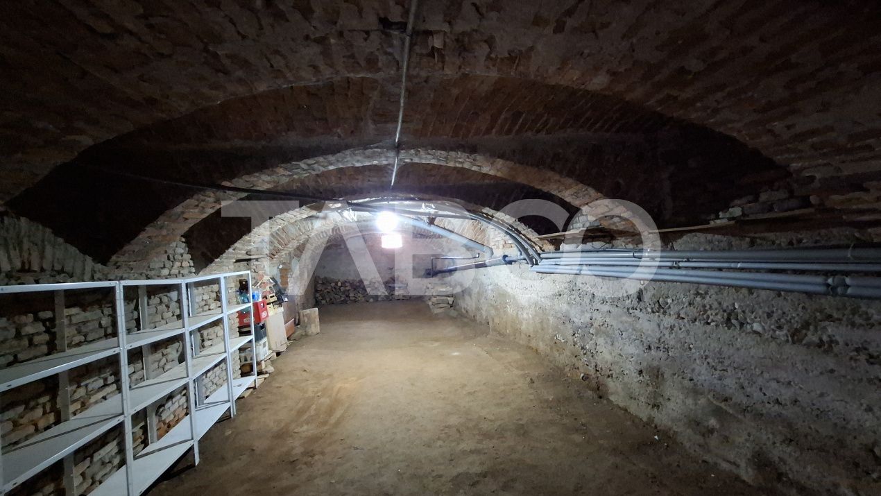 Proprietate speciala in marginimea Sibiului Apoldu de Jos Comision 0% – fotografia 10 din 36