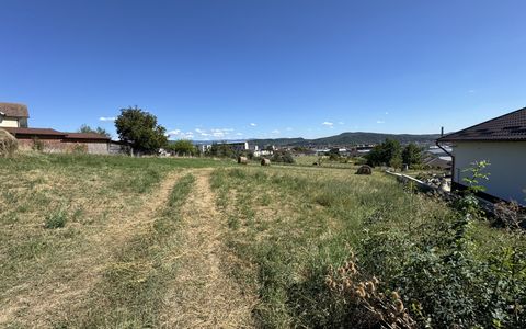 TEREN INTRAVILAN 4.600 MP - ZONA LEONI - OPORTUNITATE DE INVESTIȚIE