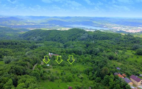 DEALUL MALULUI TEREN 1500 MP INCONJURAT DE PADURE
