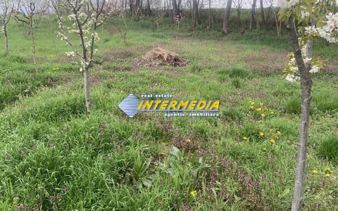 OCAZIE ! Teren intravilan 300 mp. 450 mp. si 500 mp. Vanzare Barabant Alba Iulia pentru cabana