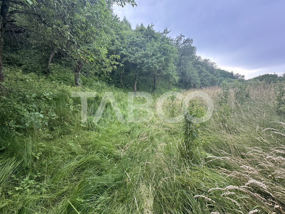 Casa 3 camere 5335 teren liber garaj si anexe  in Sinca Veche – fotografia 16 din 16