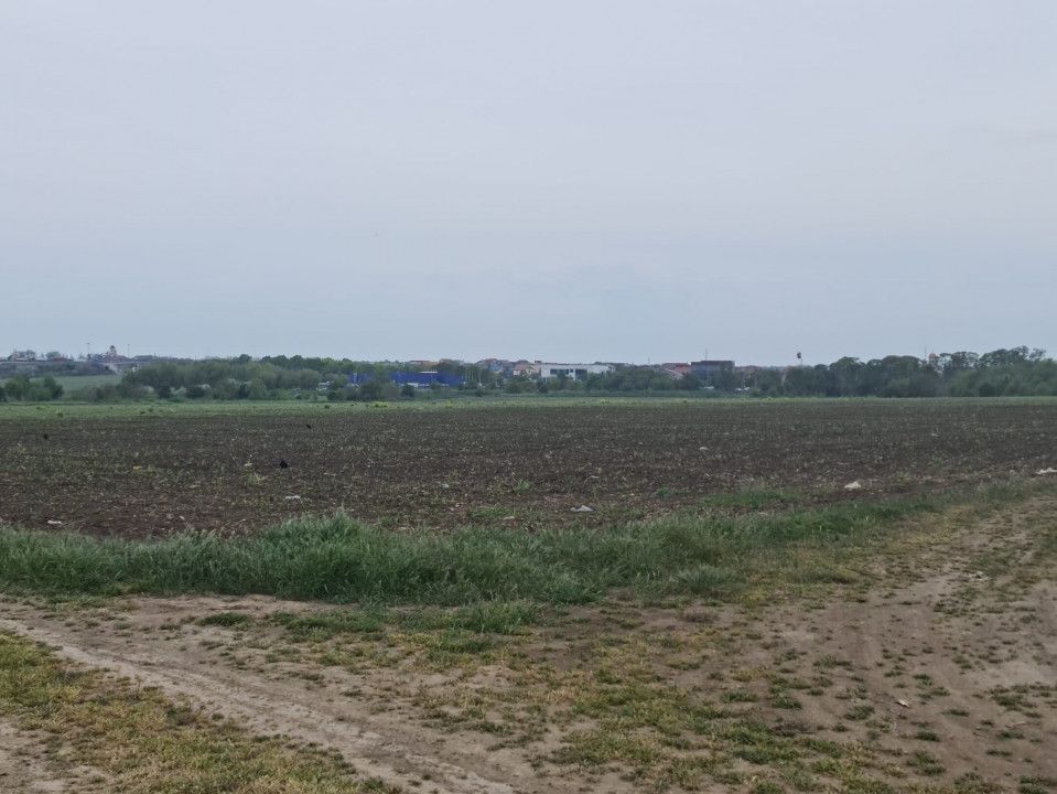 Teren de vanzare in Lazu – fotografia 6 din 11