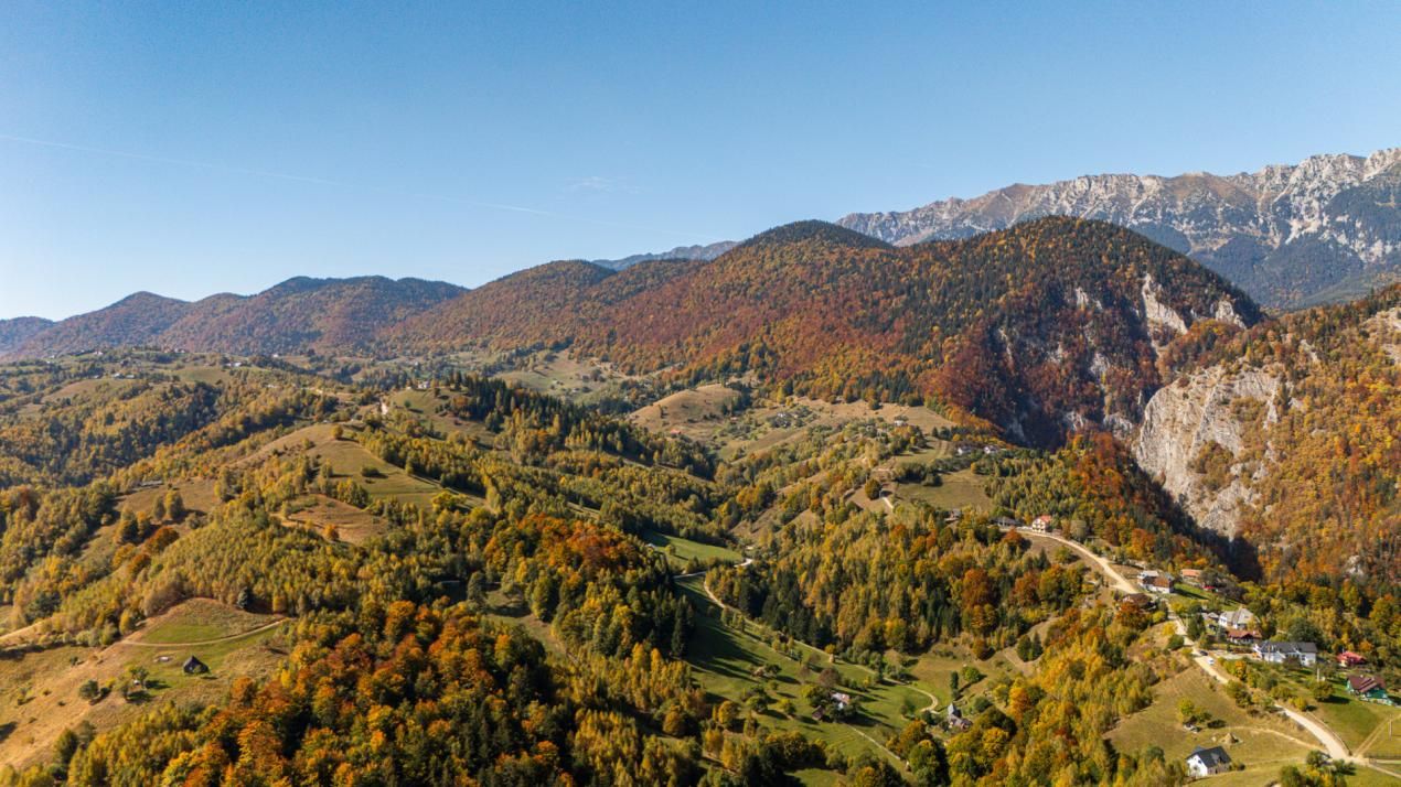 Casa Galbenă din Măgura – Un loc în care timpul curge altfel – fotografia 11 din 40