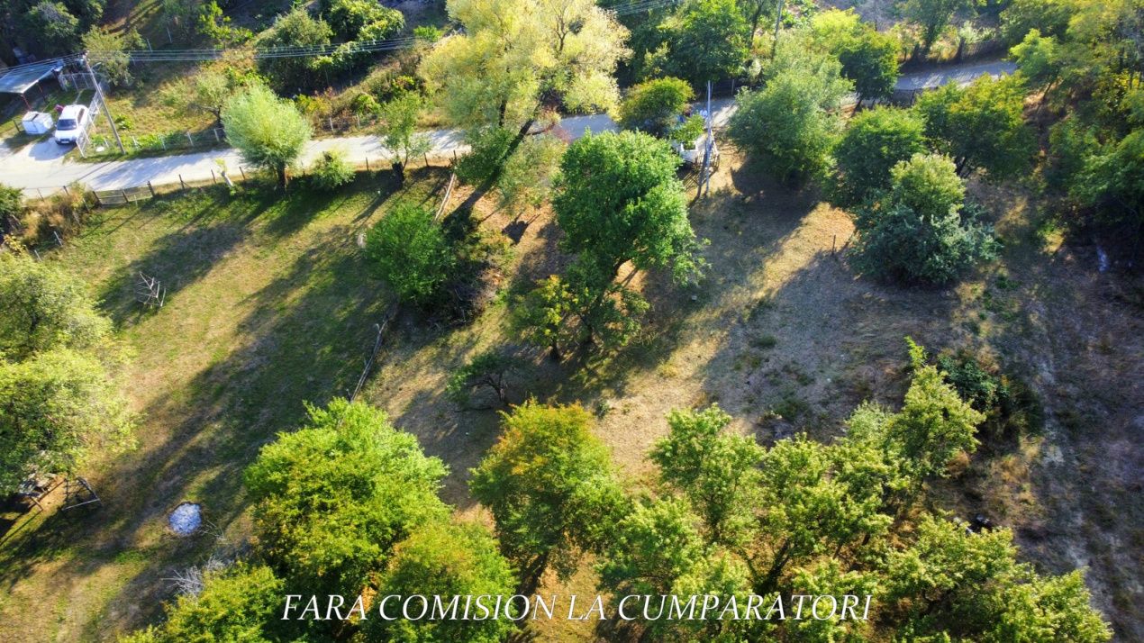 TEREN 5274 MP, CADRU NATURAL MINUNAT – fotografia 8 din 17
