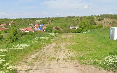 Vanzare Teren intravilan 3133 mp strada Sofiei, Oradea, Bihor - Exclusivitatate