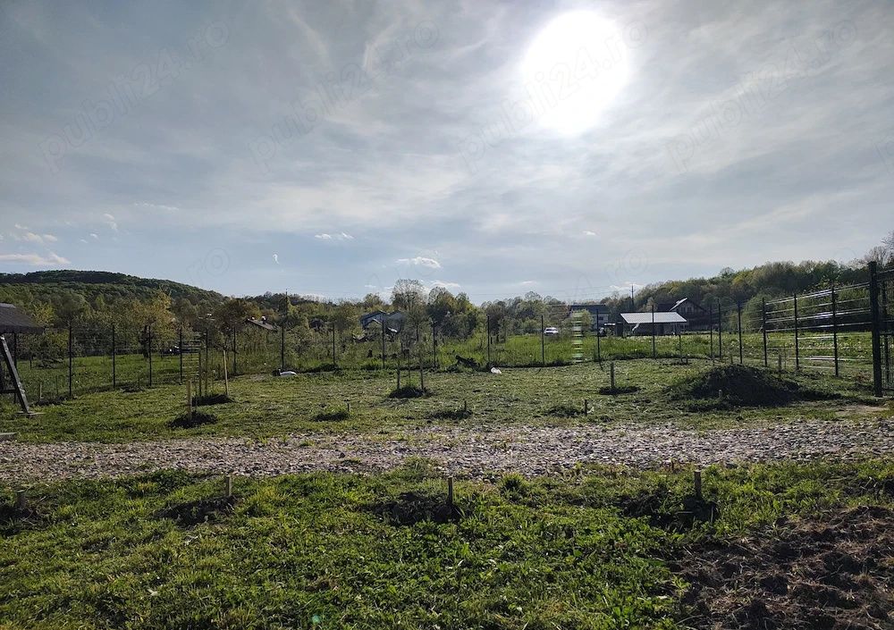 Teren intravilan de vânzare – Valea lui Enache, Baiculești, Argeș | 500 mp – fotografia 4 din 5