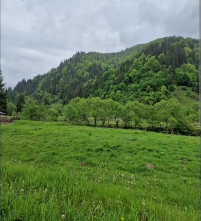 🌿 TEREN DE VÂNZARE LA IEȘIRE DIN POPLACA – PANORAMĂ SPRE PĂDURE ȘI ORAȘ! 🌳🏡 – fotografia 1 din 3