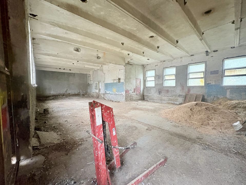 Hala 450 mp in mijlocul padurii Valu lui Traian cu teren 1875 mp – fotografia 5 din 9