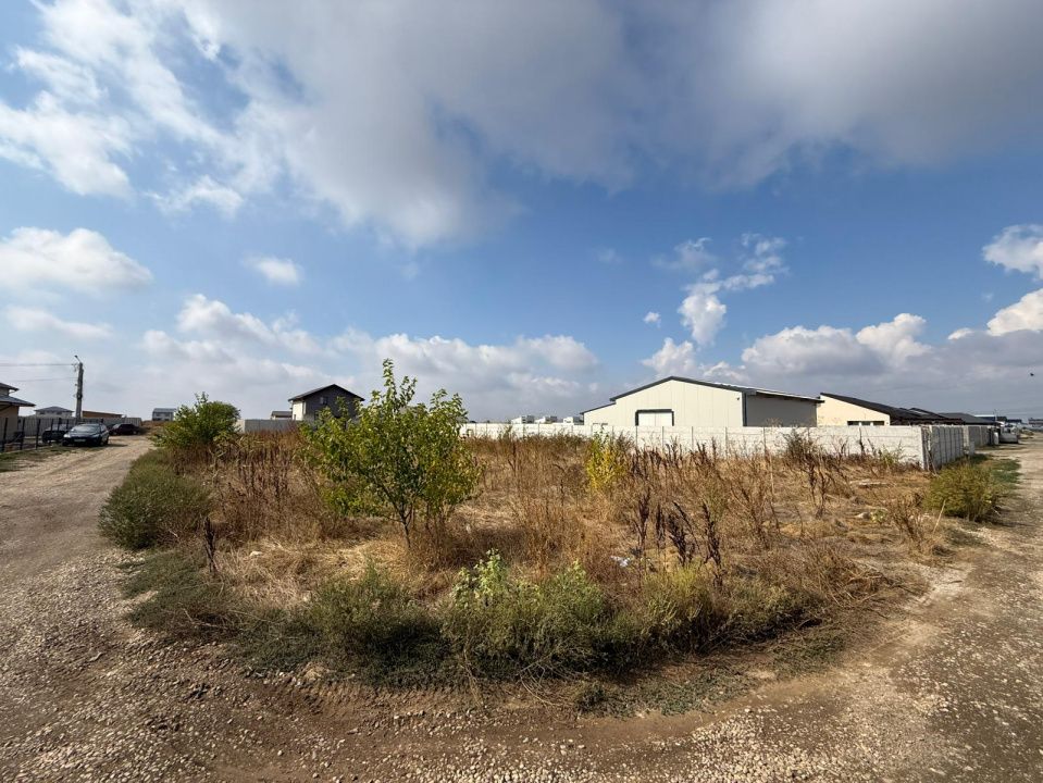 Teren Intravilan zona Sf. Ana In Berceni | utilitati: curent | #UG3E – fotografia 9 din 9