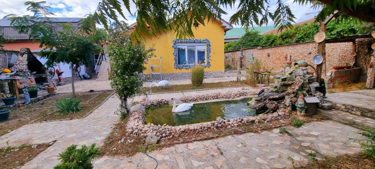 Casă parter cu teren de 1400 mp în Bariera Vâlcii aproape de drumul expres – fotografia 9 din 24