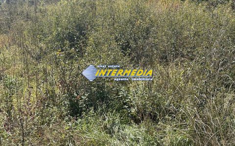 Teren intravilan I de vanzare I in Cetate I zona superba I 500 mp I