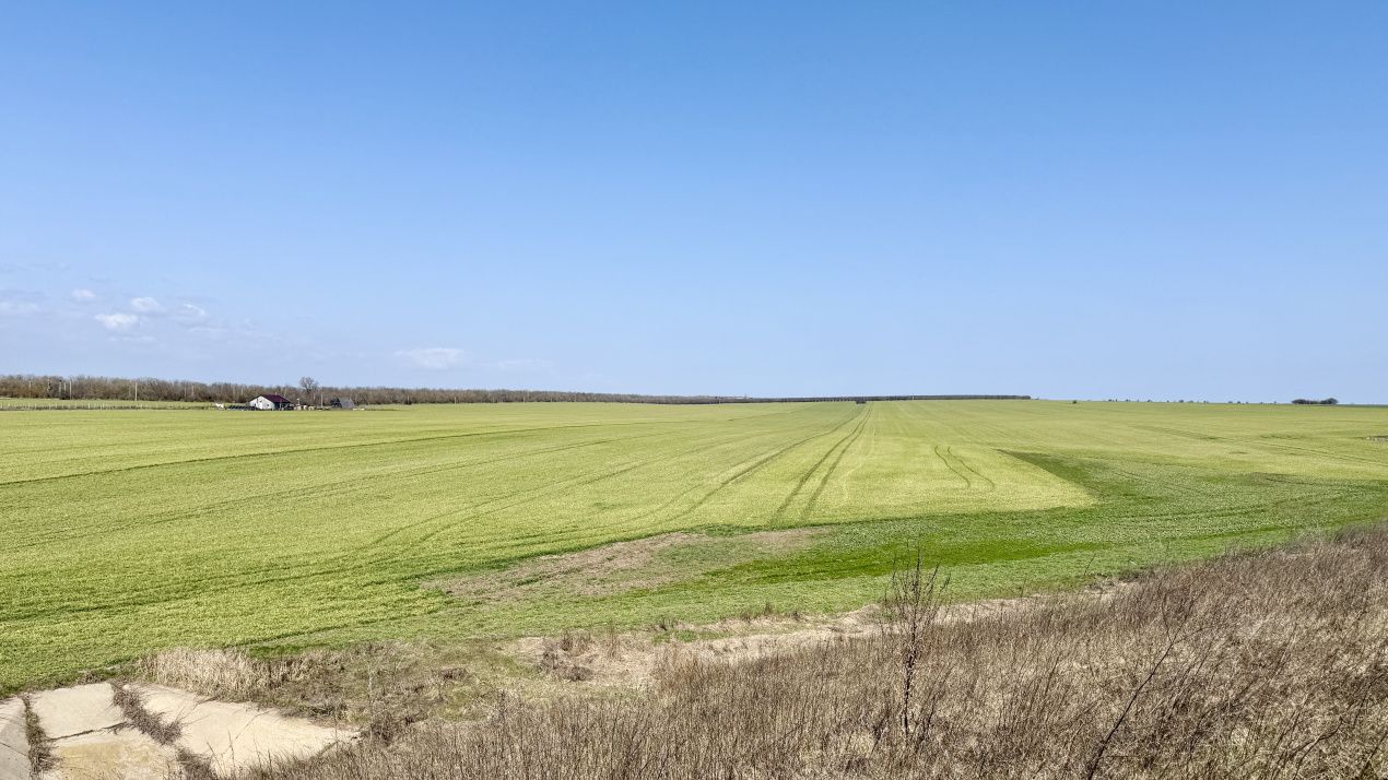 Avans 500 euro - Teren de investitie la Mare! Statiunea Costinesti 444 mp – fotografia 3 din 14