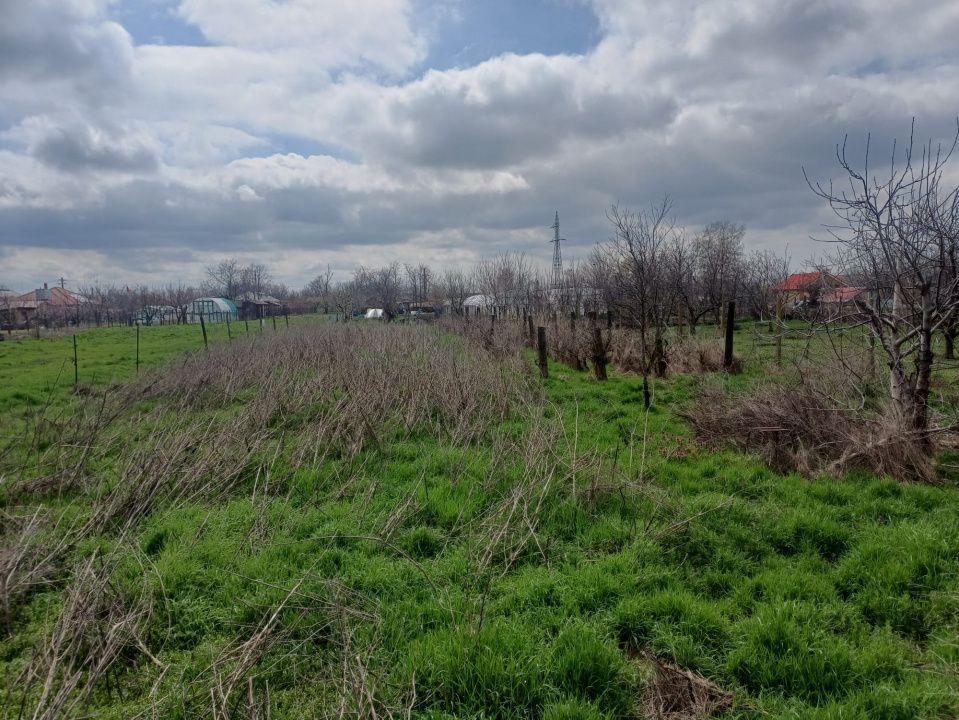 ✨Vilă P+1 în Amara | 1.170 mp Teren | Toate utilitățile | Str. Băilor✨ – fotografia 12 din 14