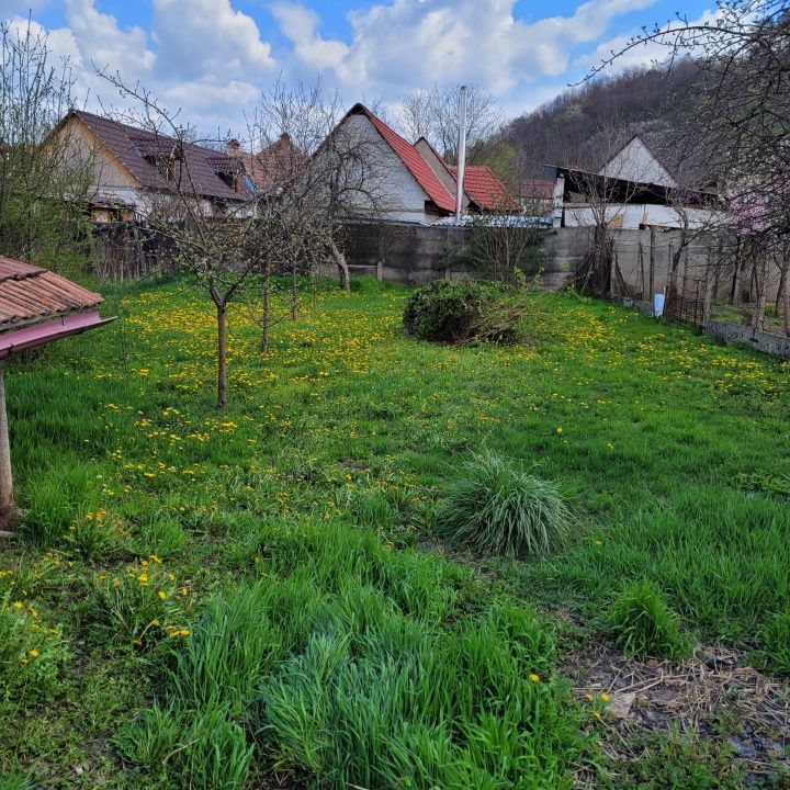Casa la tara, Apoldul de Sus, 4 camere dormitoare, anexe, pivnita, teren 1200 mp – fotografia 37 din 43