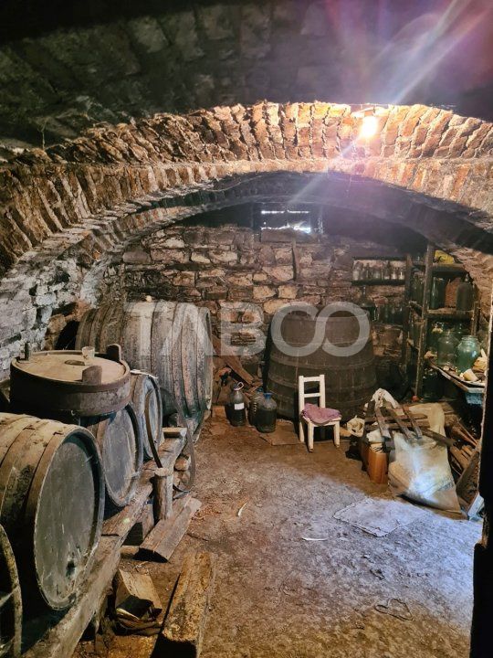 Casa de vanzare in comuna Cut Judetul Alba – fotografia 6 din 13