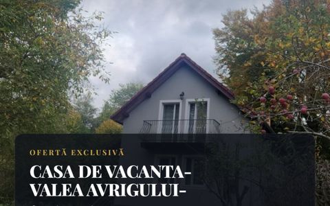 CASA DE VACANTA- VALEA AVRIGULUI-DE VANZARE