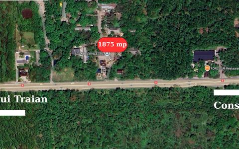 Hala 450 mp in mijlocul padurii Valu lui Traian cu teren 1875 mp