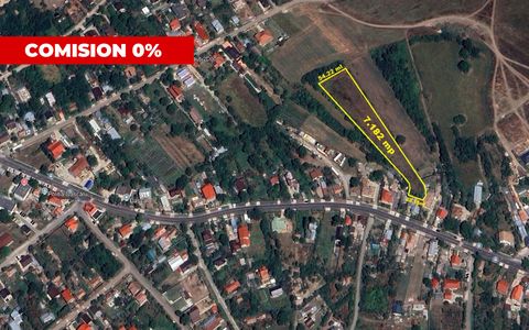 Dascălu -Teren intravilan arabil 7.182 mp