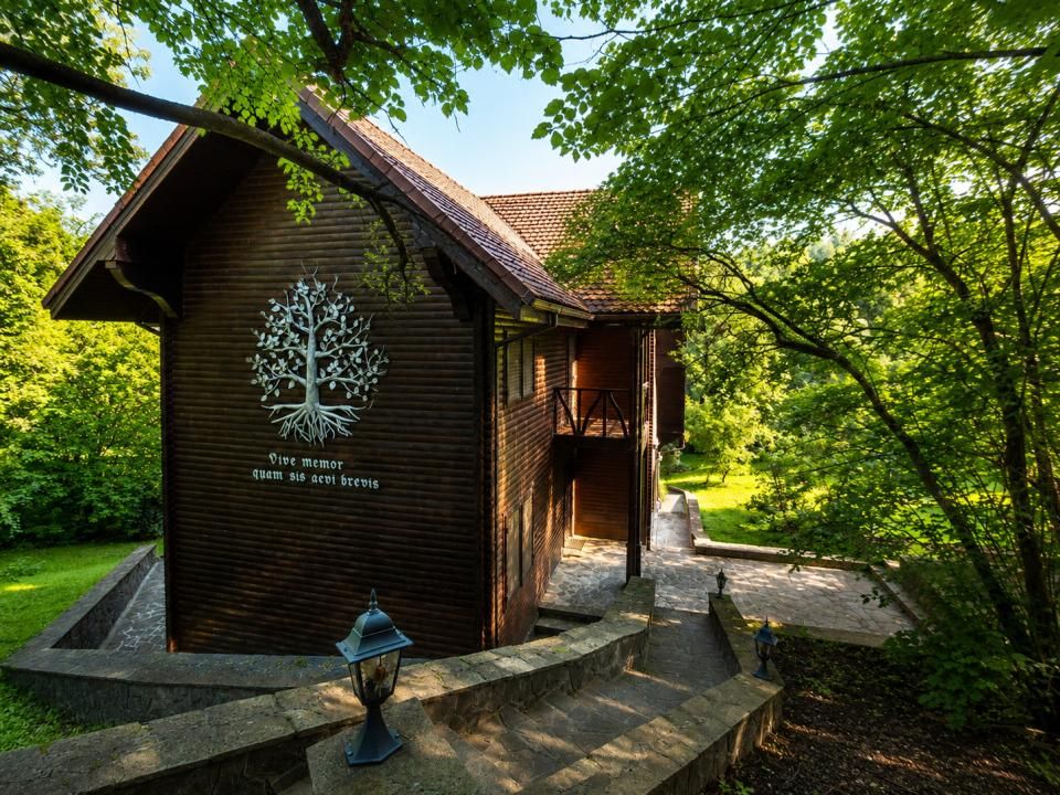 Mountain Chalet | Private Resort | Investment - Nistoresti – fotografia 19 din 25