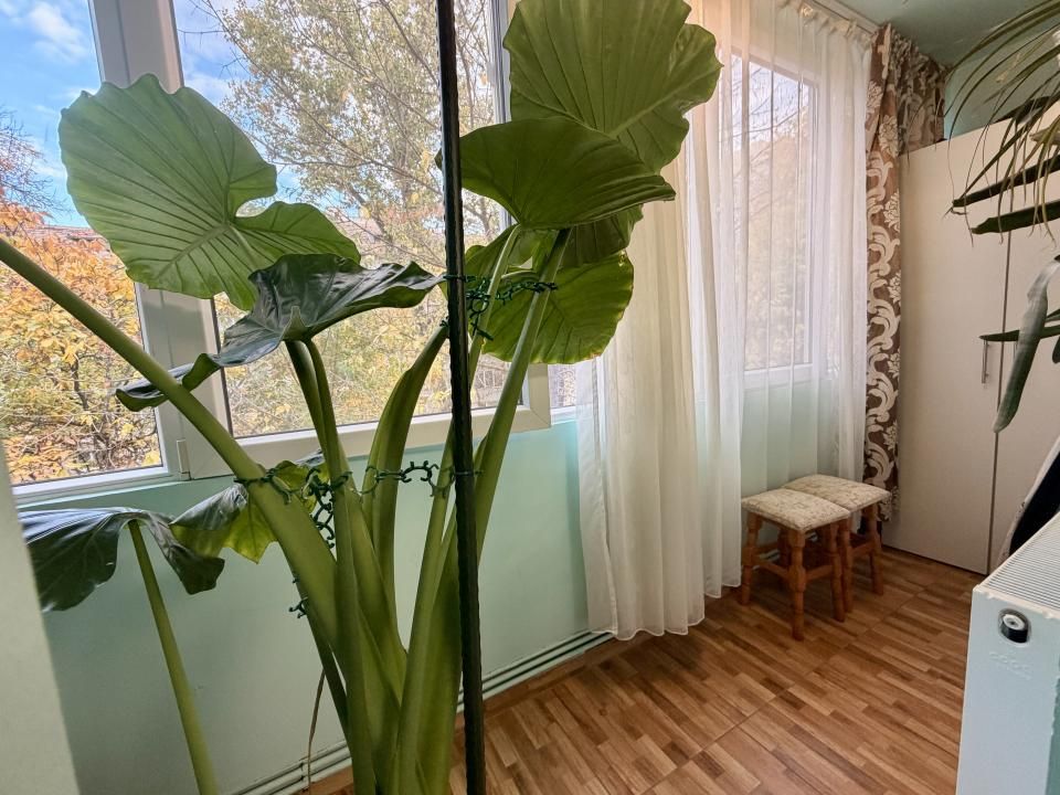 Apartament cu 3 camere, mobilat si utilat modern - zona Circumvalatiunii – fotografia 4 din 13