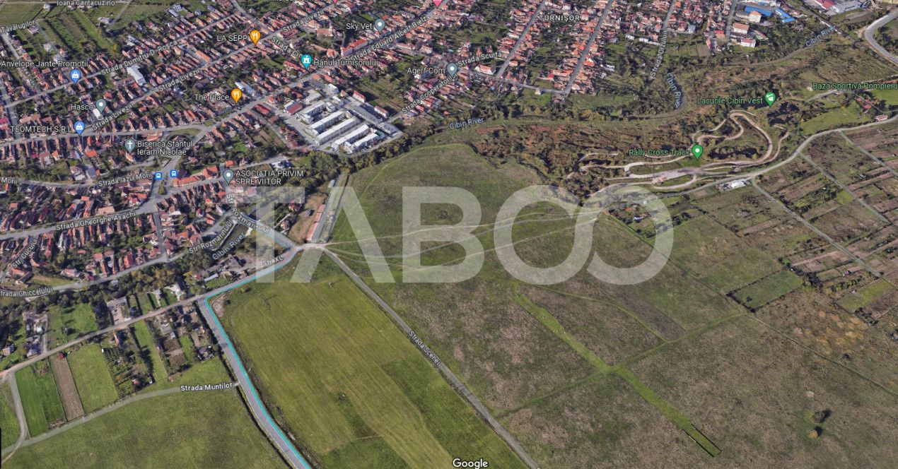 Teren intravilan de vanzare 3421 mp cu deschidere de 180 m Turnisor – fotografia 3 din 4