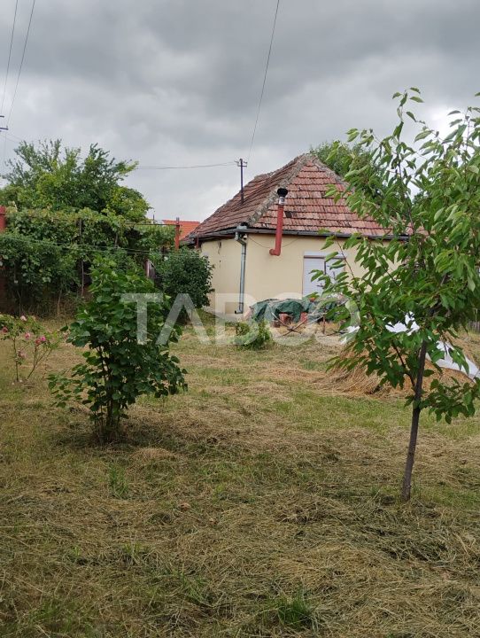Casa de vanzare 2 camere front stradal 30m teren 1000mp in Seica Mare – fotografia 4 din 9