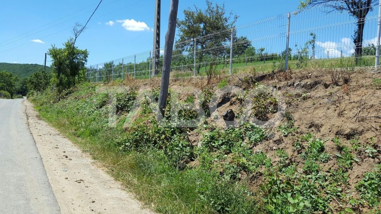 Teren 1974 mp intravilan de vanzare in Loman judetul Alba – fotografia 2 din 5