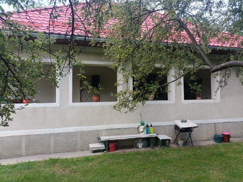 Casă de vânzare comuna Ibănești, jud. Mureș central, cu teren de 4500 mp – fotografia 5 din 26