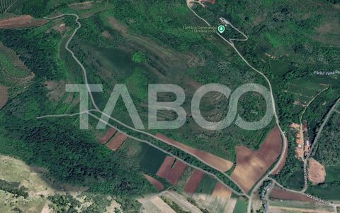 Oportunitate investitie Teren de vanzare 10000 mp zona Gusterita